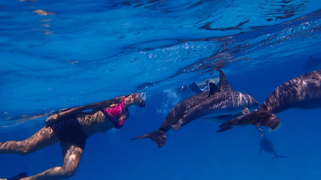 Lire la suite à propos de l’article Sensualité océanique – Plongez dans la présence – Octobre 2026